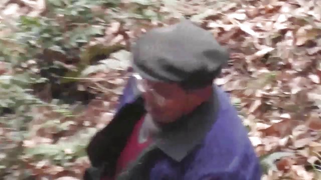 感恩而死的裸体跳舞的系列画廊爸爸的同性恋角质性别